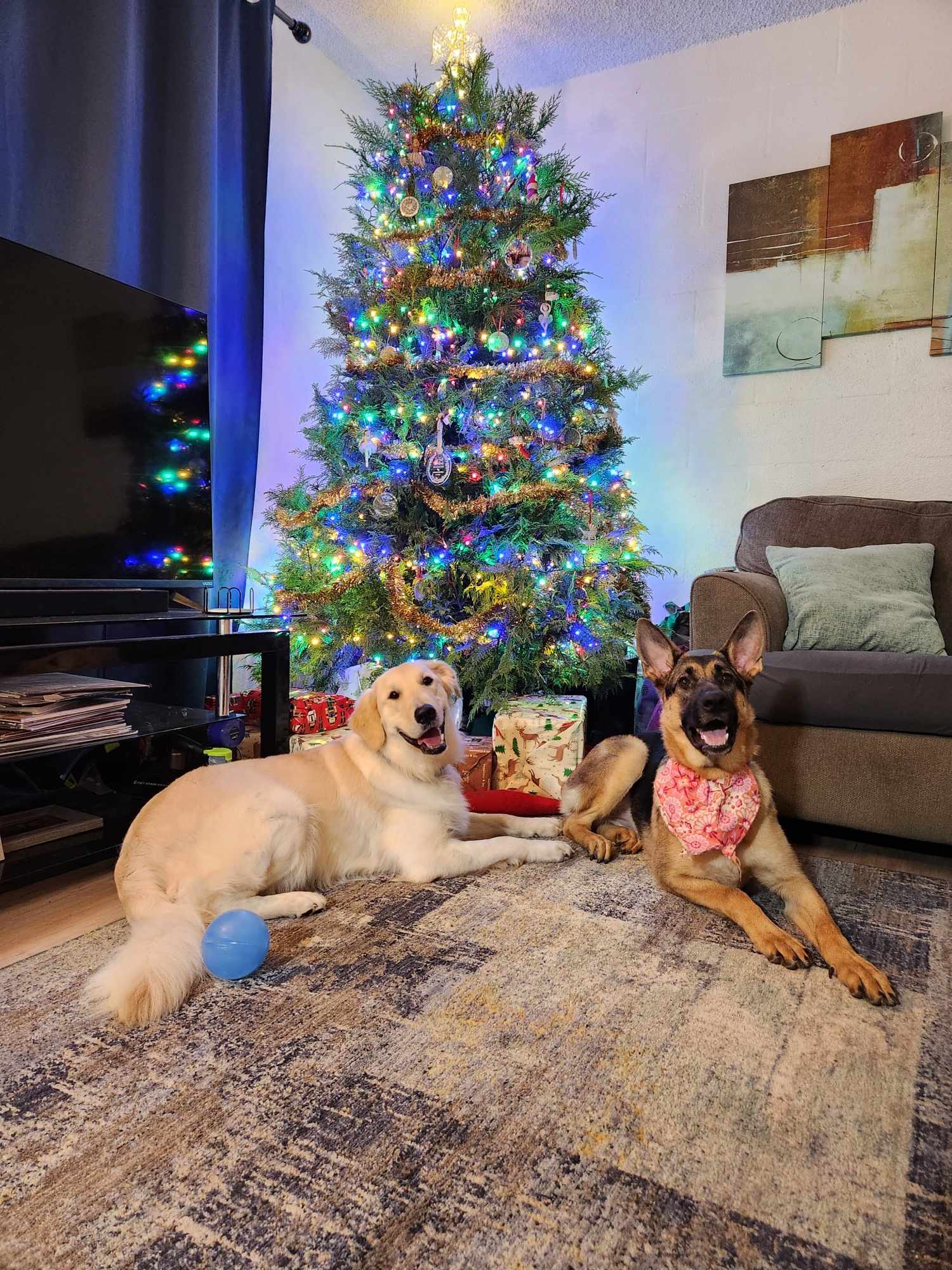 My dogs Mila and Keanu